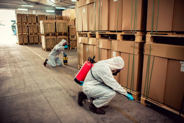 Professional Pest Control in South Congaree, SC