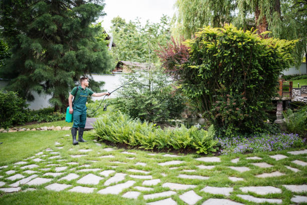 Best Affordable Pest Control Services  in South Congaree, SC