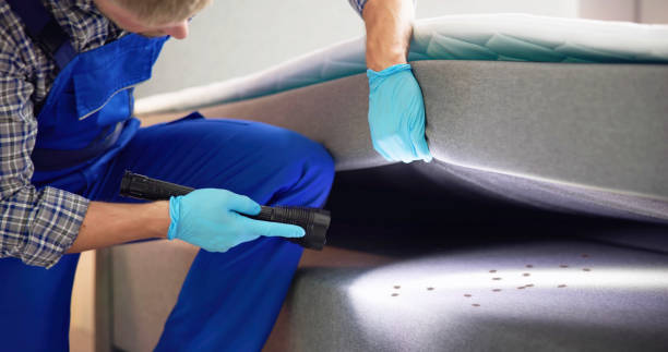 Best Cockroach Control Services  in South Congaree, SC